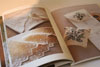 Flora : exemple de page